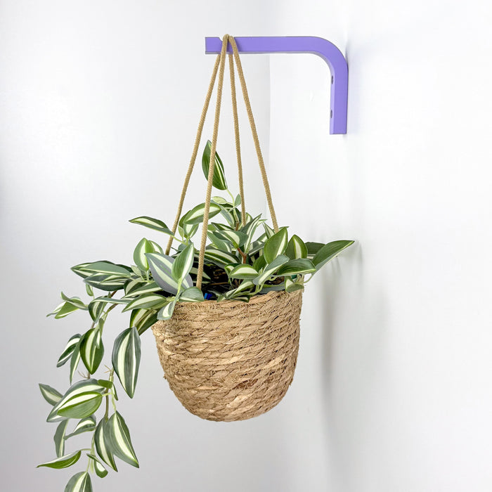 Vibrant Purple Plant Hanger for Wall | 6"x4"