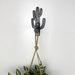 Black Cactus Wall Hook for Hanging Pots and Indoor Plants - EvenWood