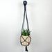 Black Wooden Plant Bracket | 4" x 6" - Image 3