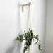 Boho Style Wall Hook | Macrame - Image 5