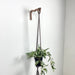 Boho Style Wall Hook | Macrame - Image 7