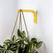 Bright Yellow Wall Mount Plant Holder | 6"x4" - Image 1