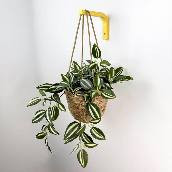 Bright Yellow Wall Mount Plant Holder | 6"x4" - Image 3