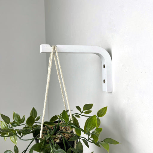 Colorful Plant Hanger Hook for Indoor | 6"x4" - Image 9