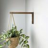 Long Wall Hook for Plants | Walnut Color