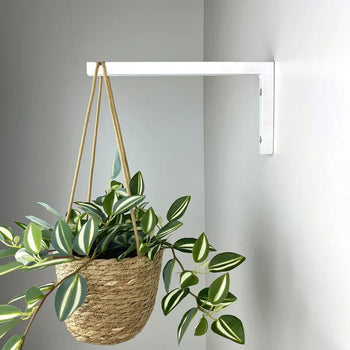 Long Wall Hook for Hanging Plants | White 10