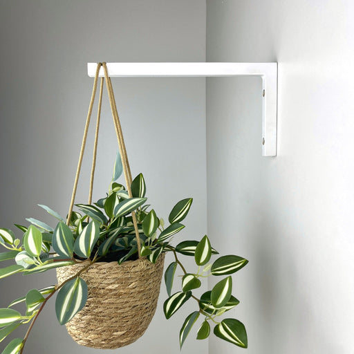 Long Wall Hook for Plants | White Color - Image 1
