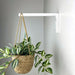 Long Wall Hook for Plants | White Color - Image 1