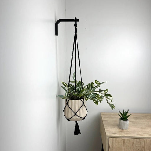 Macrame Plant Hanger Wall Hook | Black 6"x4" - EvenWood