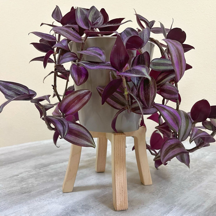 Mini Tabletop Plant Stand | Natural - EvenWood