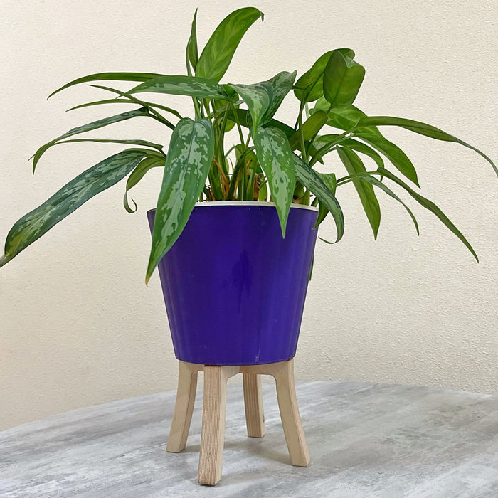 Mini Tabletop Plant Stand | Natural - EvenWood