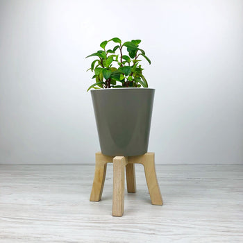 Mini Tabletop Plant Stand | Natural