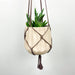 Minimalist Plant Bracket | Walnut Finish - Image 5