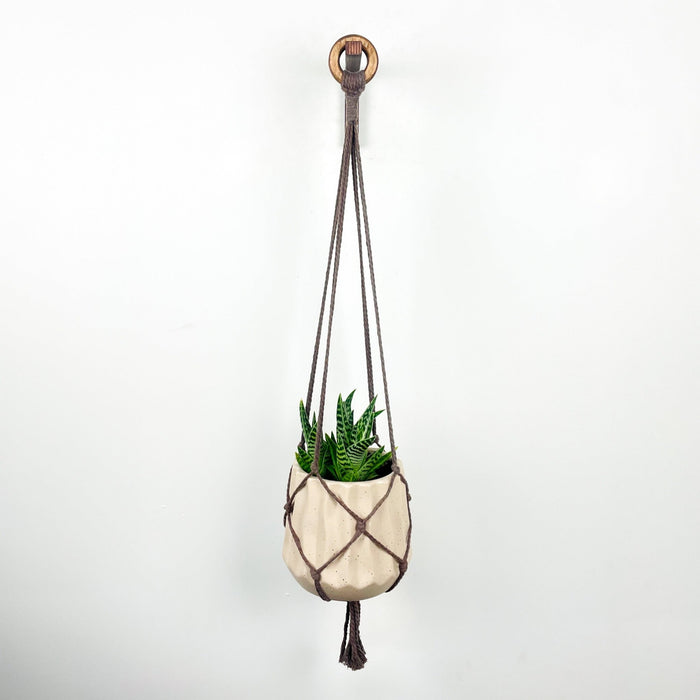 Minimalist Plant Bracket | Walnut Finish - Image 3