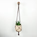 Minimalist Plant Bracket | Walnut Finish - Image 3