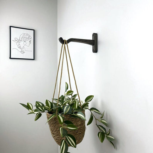 Modern Wall - Mounted Wooden Hook for Plants | Bog Oak Color - EvenWood