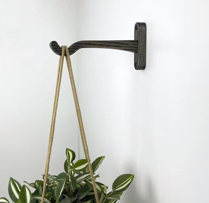 Modern Wall - Mounted Wooden Hook for Plants | Bog Oak Color - EvenWood