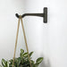Modern Wall - Mounted Wooden Hook for Plants | Bog Oak Color - EvenWood