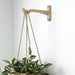 Modern Wall - Mounted Wooden Hook for Plants | Natural Color - Image 1