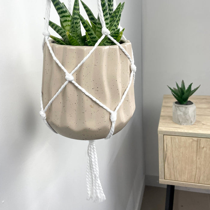 Modern White Plant Bracket | 4" x 6" - Image 3