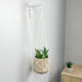 Modern White Plant Bracket | 4" x 6" - Image 1