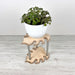 Monstera Leaf Plant Stand for Indoor Plants | Natural - EvenWood