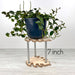 Monstera Leaf Plant Stand for Indoor Plants | Natural - EvenWood