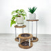 Organic Curve Plant Stand Trio | Modern Natural Aesthetic - Image 1