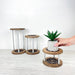 Organic Curve Plant Stand Trio | Modern Natural Aesthetic - Image 6