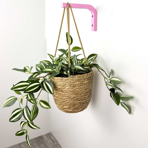Pink Plant Bracket for Wall | 6"x4" - Image 2