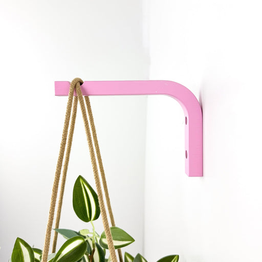 Pink Plant Bracket for Wall | 6"x4" - Image 1