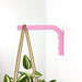 Pink Plant Bracket for Wall | 6"x4" - Image 1