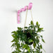Pink Wooden Plant Pot Wall Bracket, 12" x 6" - Image 2