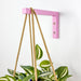 Pink Wooden Wall Bracket for Hanging Plants | 6"x4" - Image 2
