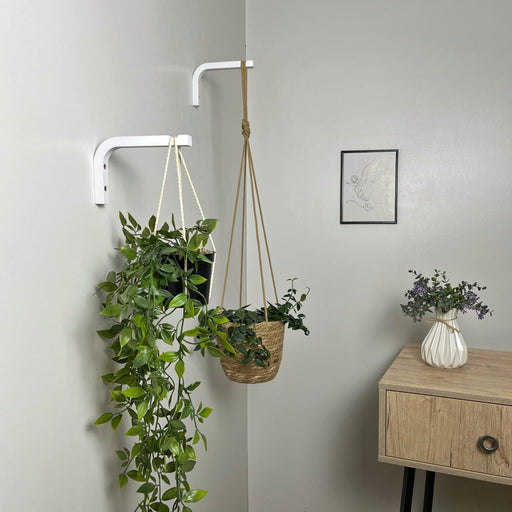 Plant Wall Hanger Hook | White 6"x4" - Image 2