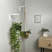 Plant Wall Hanger Hook | White 6"x4" - Image 2