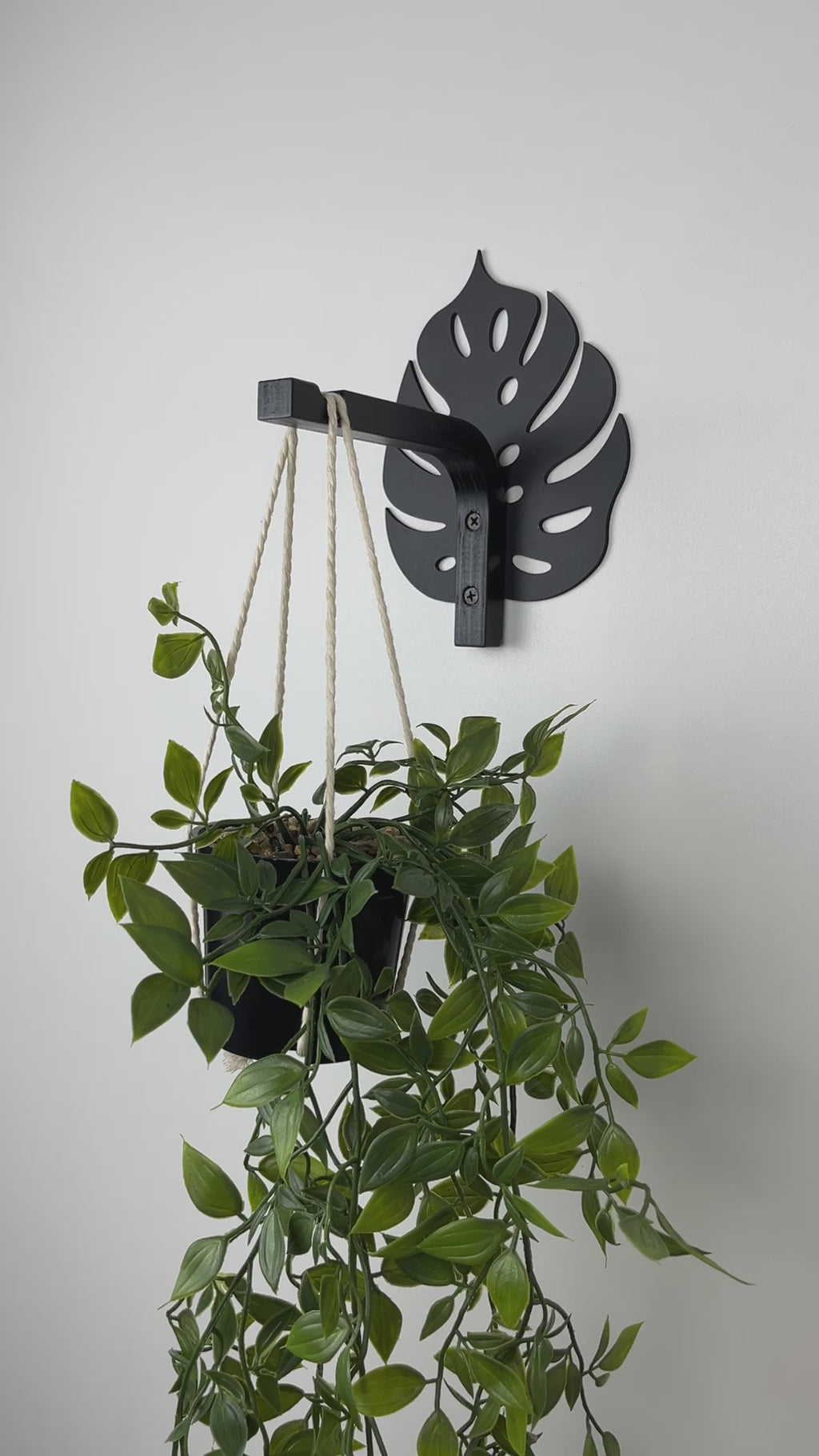 Monstera Leaf Wall Hook for Planter | Black. preview