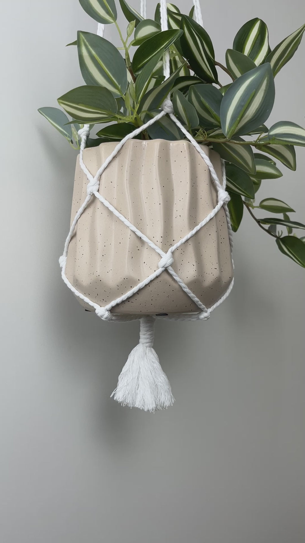 Macrame Plant Hanger Wall Hook | White 6"x4" preview