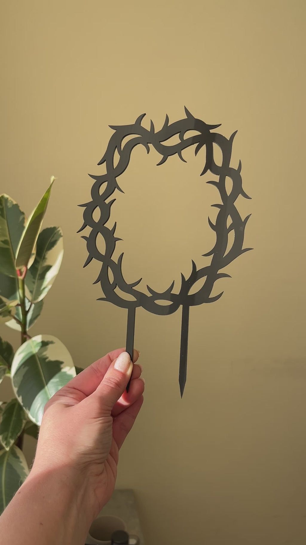 Thorns Crown Trellis for Potted Plants | Black preview