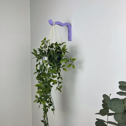 hooks for indoor hanging plants Purple Wavy Plant Hook for Indoor