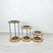 Set of 3 Curved Plant Stands | Natural Flow Design - Image 3