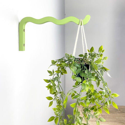 wall hanging money plant Wooden Wavy Wall Plant Hanger Hook Green 12x6 in
