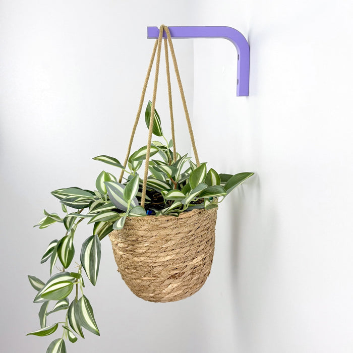 Vibrant Purple Plant Hanger for Wall | 6"x4" - Image 1