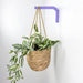 Vibrant Purple Plant Hanger for Wall | 6"x4" - Image 1