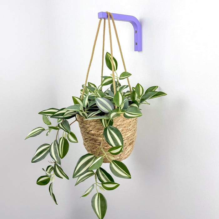 Vibrant Purple Plant Hanger for Wall | 6"x4" - Image 2