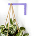 Wall Bracket for Plants | Purple 6"x4" - Image 3