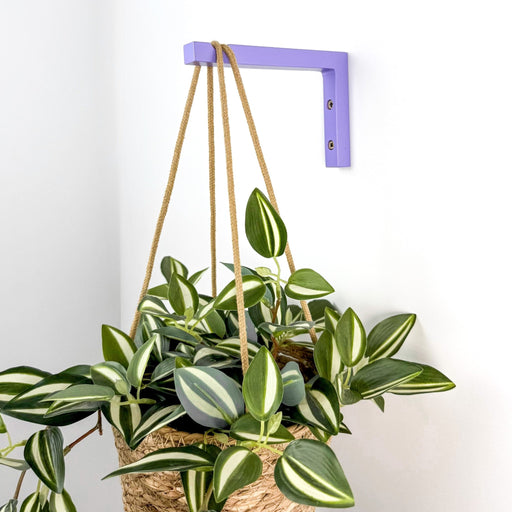 Wall Bracket for Plants | Purple 6"x4" - Image 1