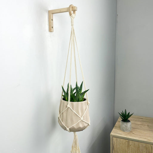 Wall Hook for Decor and Plants | Scandinavian Style - Image 1