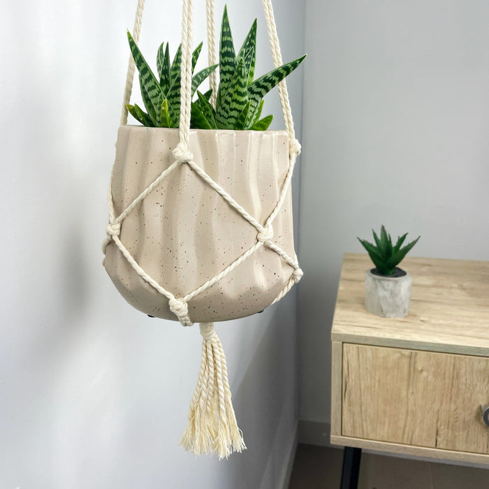 Wall Hook for Decor and Plants | Scandinavian Style - Image 3