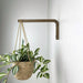 Wall Hook for Hanging Planters | Walnut Color - Image 1
